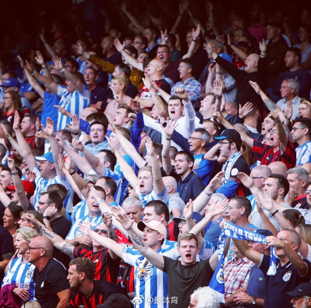 他有效限制 他有效限制